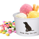 Ice Cream for Everyone: Great Cups with a Lid